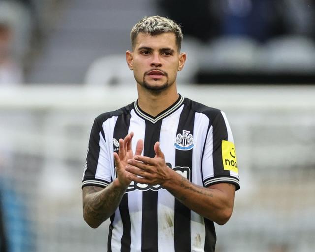 兴奋, 如今又看到, 表示