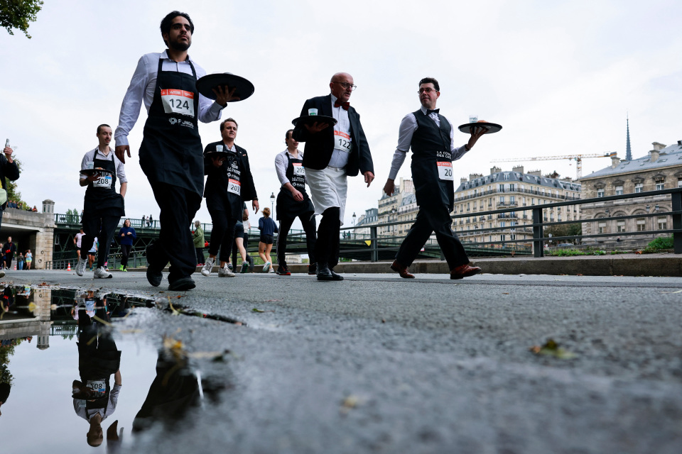 参赛者在法, DvzD 参赛者在法, DvzD