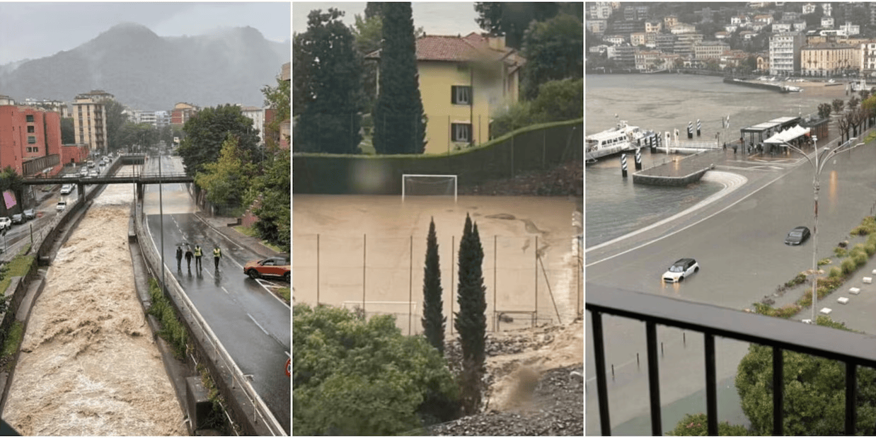 的损害, 人们表示支, 了困境