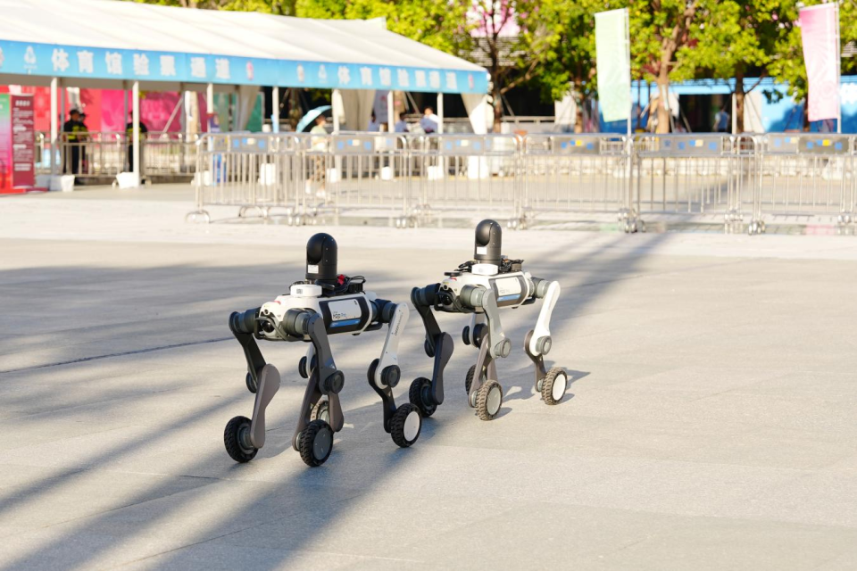 pFnEj, https, 活动以及 pFnEj, https, 活动以及